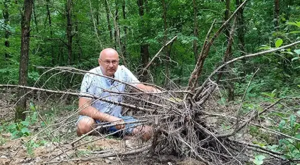 Skąd wziąć korzeń do akwarium? Odkryj najlepsze źródła i metody