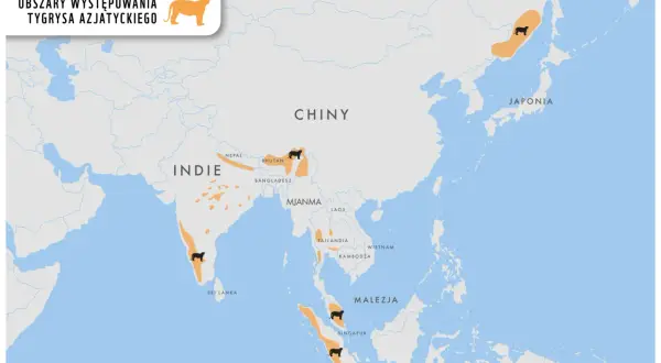 Mapa pokazuje, gdzie żyją tygrysy azjatyckie: Indie, Nepal, Bhutan, Rosja, Chiny, Tajlandia, Malezja i Indonezja.