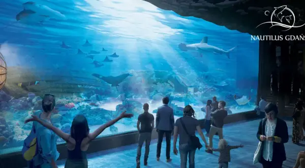Ludzie podziwiają rekiny i płaszczki w ogromnym akwarium w oceanarium Nautilus Gdańsk.