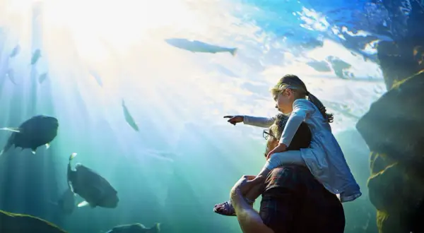 Oceanarium Berlin: Niezwykłe atrakcje i tajemnice nowego akwarium
