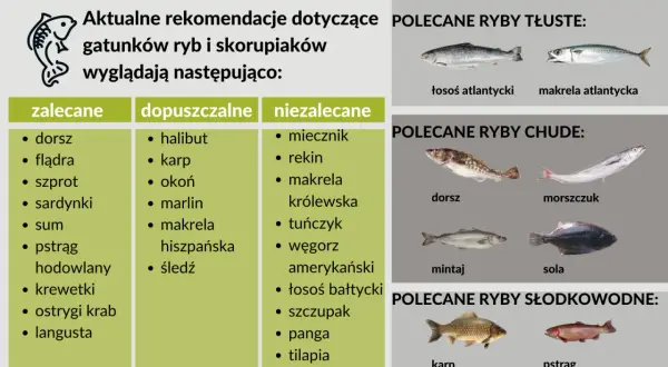 Jakie rybki dla dziecka wybrać? Bezpieczne opcje dla zdrowia i radości