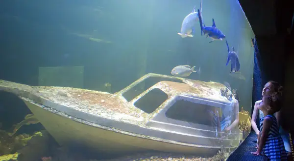 Oceanarium Świętokrzyskie - co warto zobaczyć i jak się przygotować