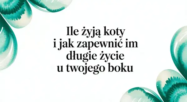Ile żyją koty po sterylizacji? Dowiedz się, jak zapewnić im długie życie u Twojego boku.