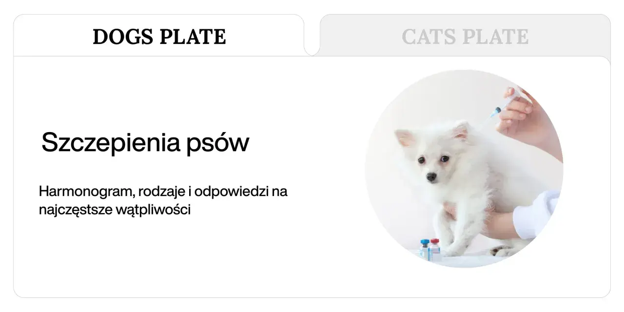 Szczepienia szczeniaka: weterynarz podaje zastrzyk białemu, puszystemu psu. Obok stoją fiolki z lekami.