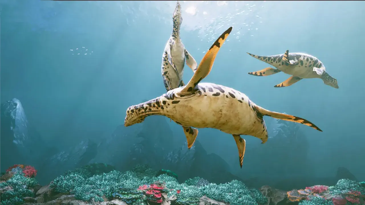 Oceanarium Małopolska - atrakcje, godziny otwarcia i wyjątkowe doświadczenia