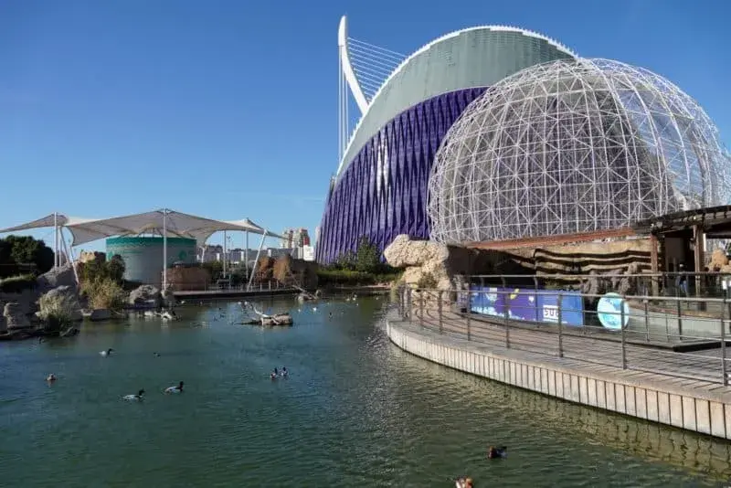 Oceanarium Walencja – Czego nie przegapić i jak zaoszczędzić na biletach