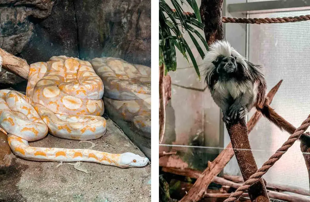 Oceanarium węgry - najlepsze atrakcje i tajemnice w Budapeszcie
