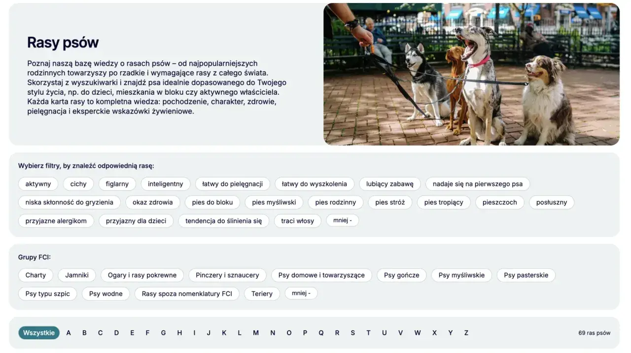Cztery psy, w tym husky, siedzą na chodniku. Szukasz najinteligentniejsze psy? Znajdź idealnego towarzysza.