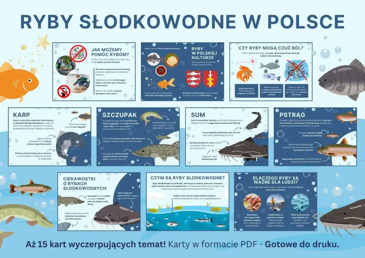 Karp to ryba, która większość osób kojarzy ze Świętami Bożego Narodzenia.