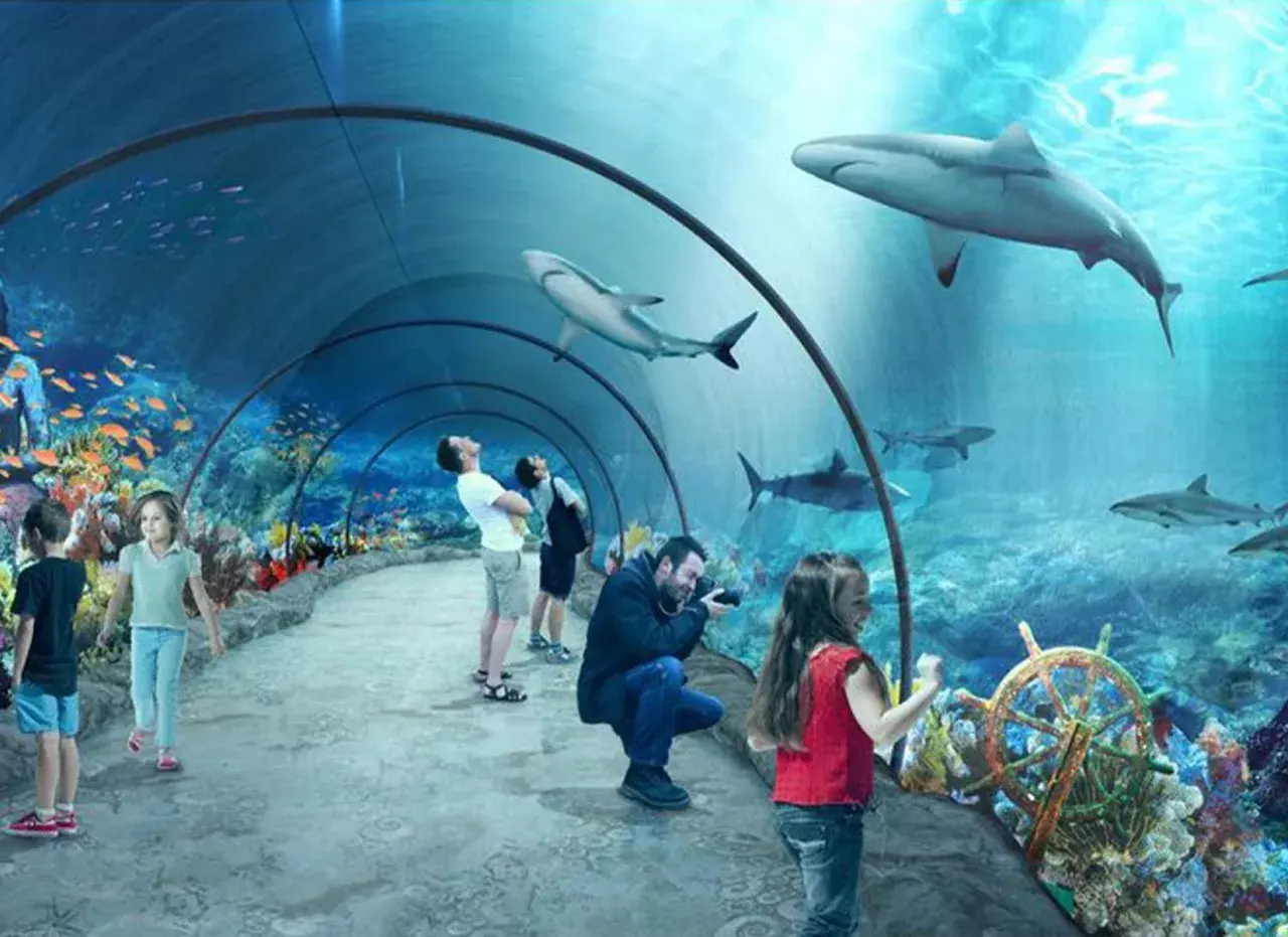 Największe oceanarium w Polsce Łódź – odkryj niezwykłe atrakcje