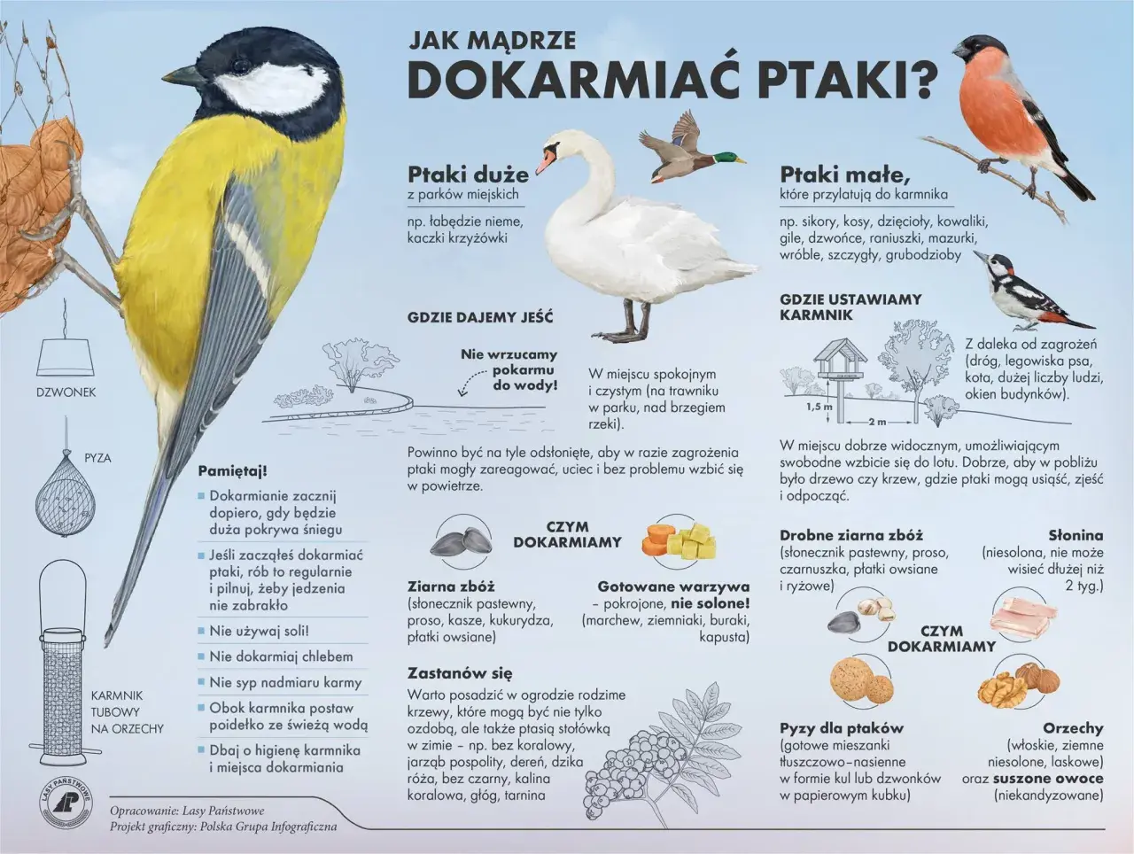 Ptaki jedzą ziarna zbóż, warzywa, słoninę i orzechy. Unikaj chleba i soli.
