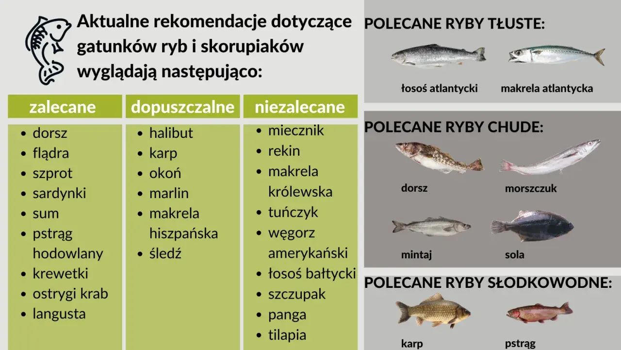 Jakie rybki dla dziecka wybrać? Bezpieczne opcje dla zdrowia i radości