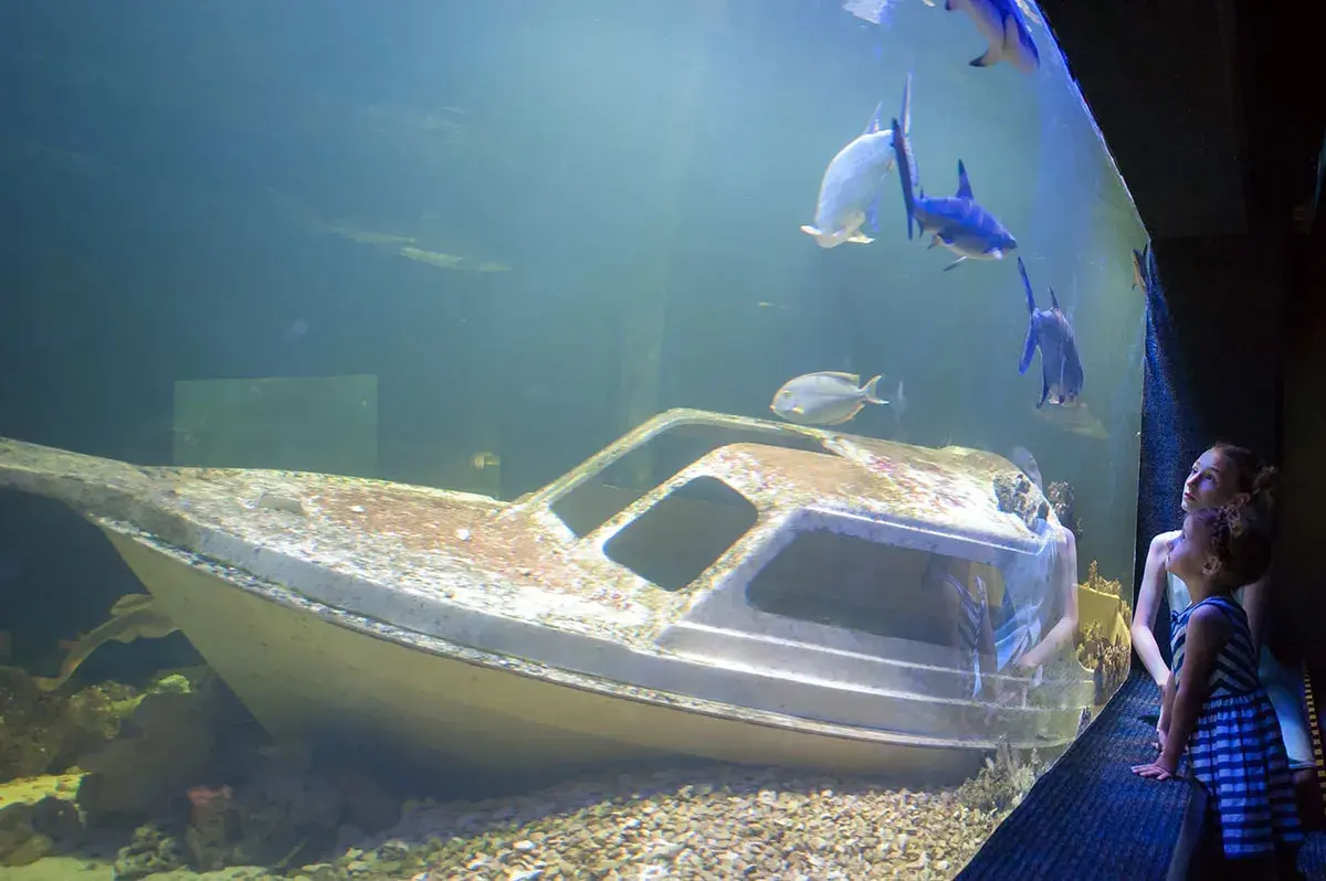 Oceanarium Świętokrzyskie - co warto zobaczyć i jak się przygotować