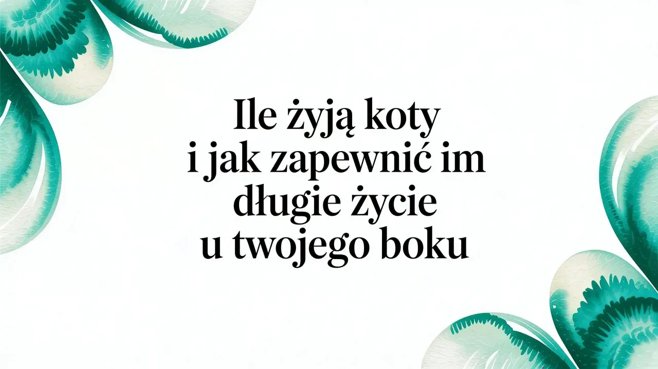 Ile żyją koty po sterylizacji? Dowiedz się, jak zapewnić im długie życie u Twojego boku.