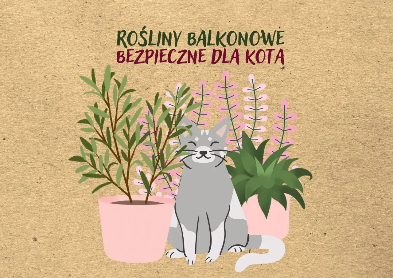 Uśmiechnięty kotek wśród roślin balkonowych bezpiecznych dla kota. Zielone i różowe kwiaty w doniczkach.