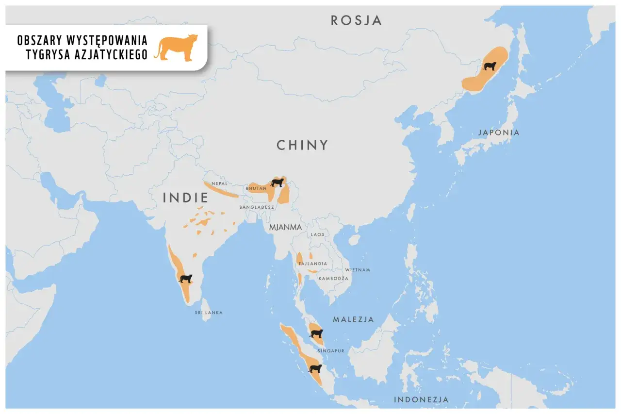 Mapa pokazuje, gdzie żyją tygrysy azjatyckie: Indie, Nepal, Bhutan, Rosja, Chiny, Tajlandia, Malezja i Indonezja.