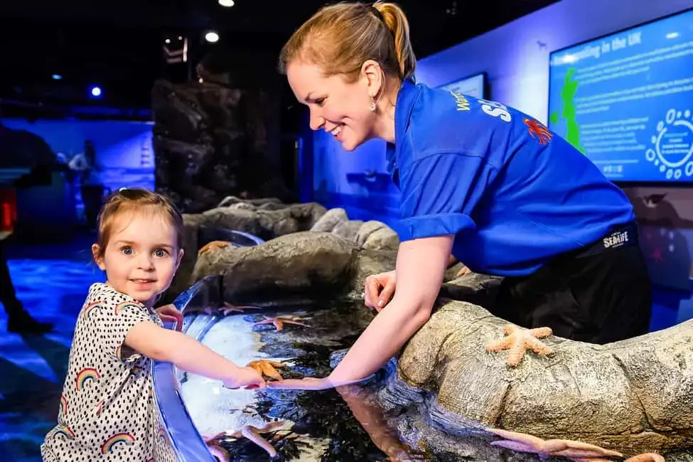 Zdjęcie Odkryj fascynujący świat w oceanarium Londyn – atrakcje i porady