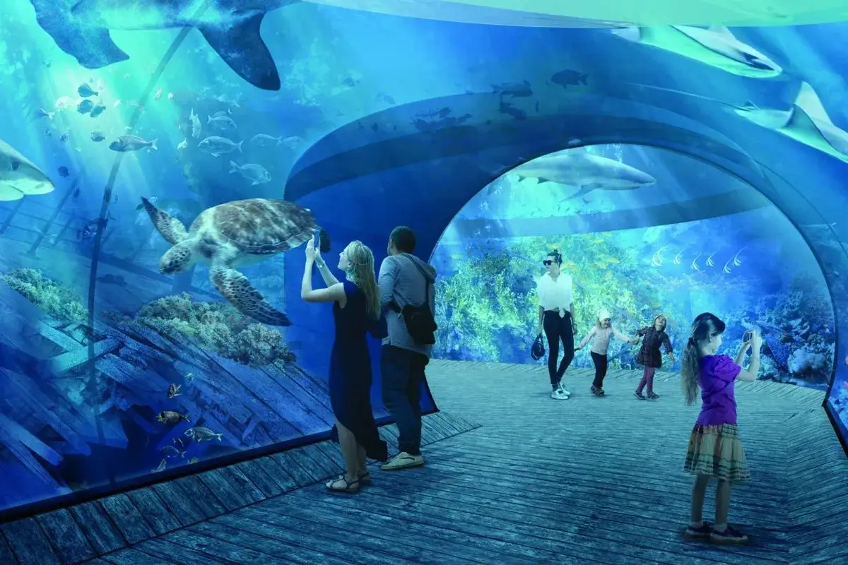 Podwodny świat w oceanarium Nautilus Gdańsk: żółw, rekiny i ludzie podziwiający morskie życie.