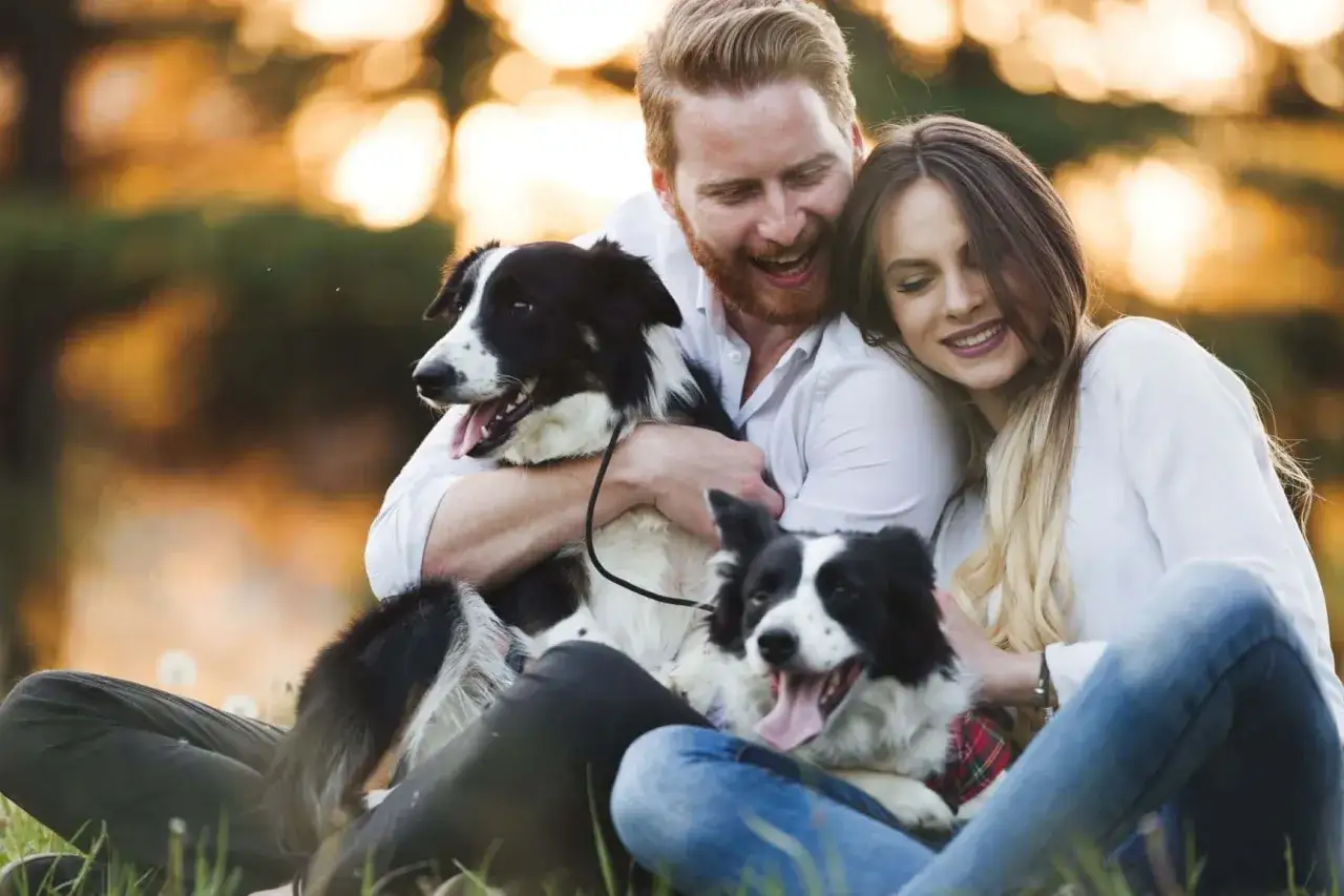Szczęśliwa para z dwoma psami rasy border collie. Idealny pies do domu, który wnosi radość i miłość.