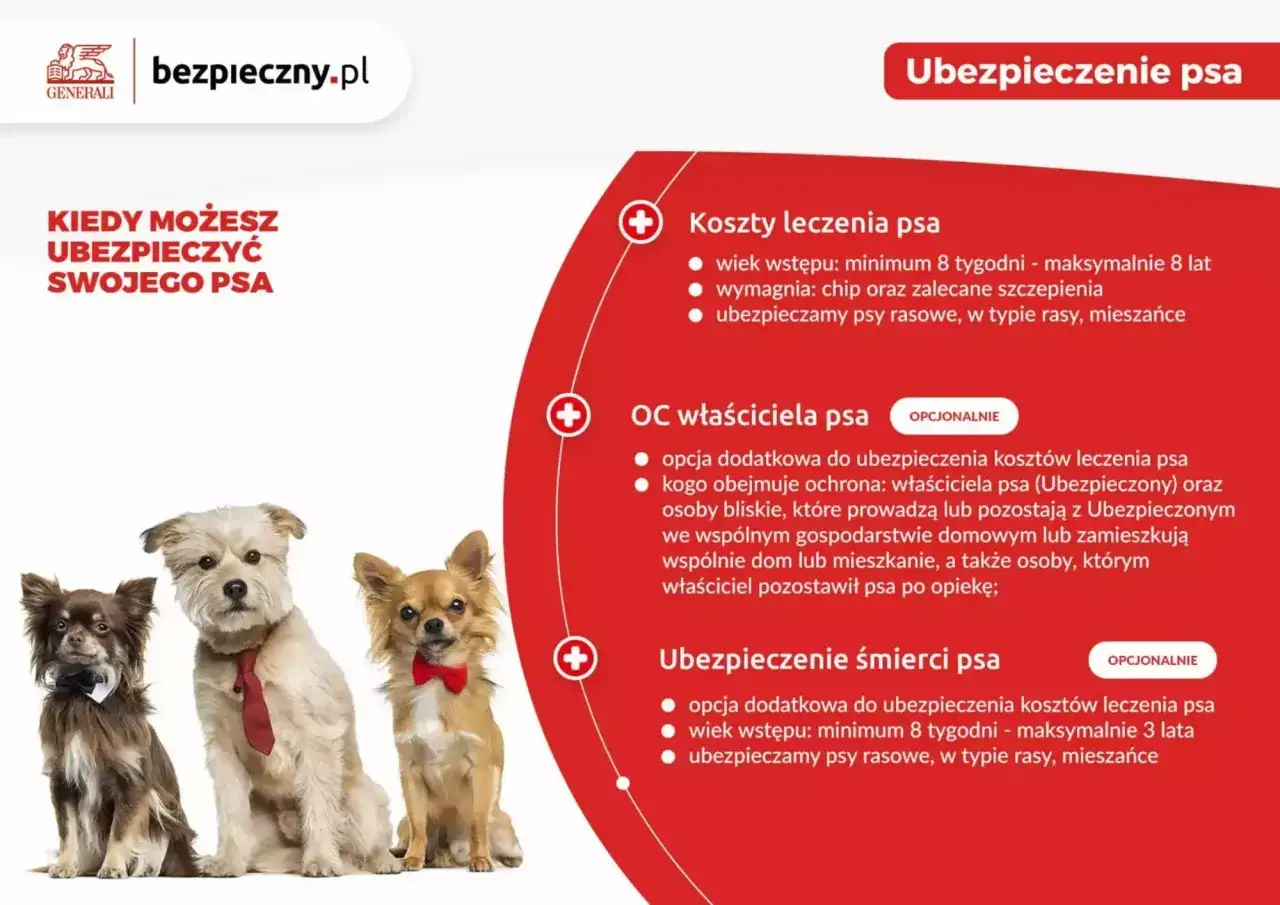 Trzy urocze psy w eleganckich muszkach i krawacie. Dowiedz się, kiedy możesz ubezpieczyć swojego pupila dzięki PZU ubezpieczenie psa.