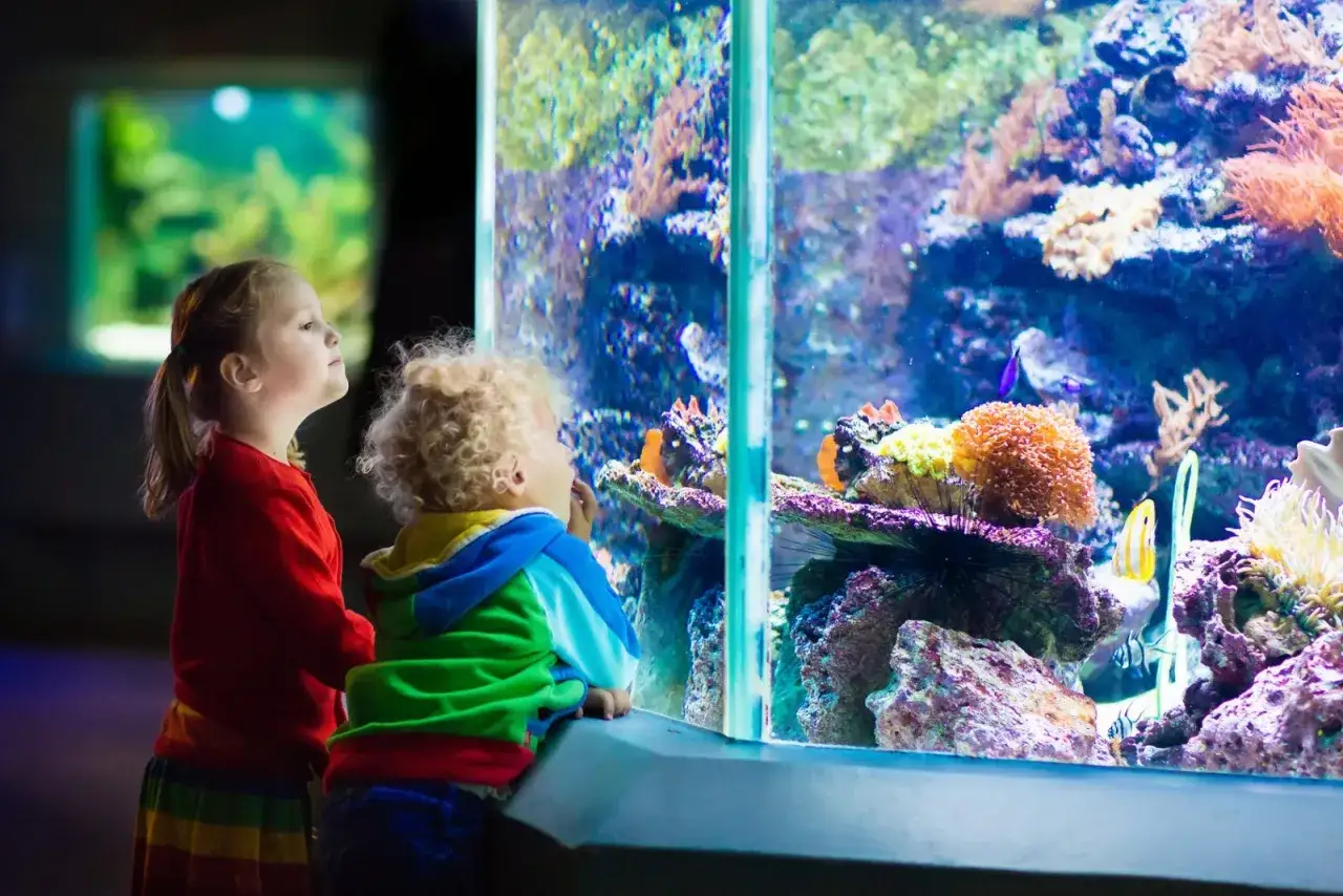 Zdjęcie Aktualny status budowy oceanarium w Katowicach i jego przyszłość