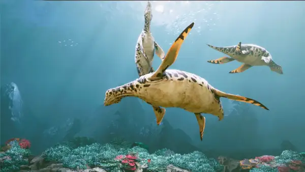 Oceanarium Małopolska - atrakcje, godziny otwarcia i wyjątkowe doświadczenia