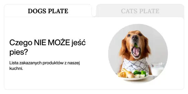 Złoty retriever z brokułem w pysku, obok talerz z jedzeniem i mleko. Temat: czego nie może jeść pies.
