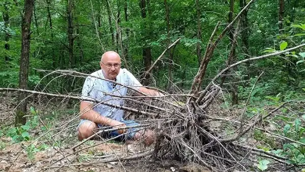 Skąd wziąć korzeń do akwarium? Odkryj najlepsze źródła i metody