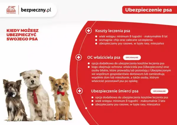 Trzy urocze psy w eleganckich muszkach i krawacie. Dowiedz się o pzu ubezpieczenie psa, kosztach leczenia, OC właściciela i ubezpieczeniu śmierci.