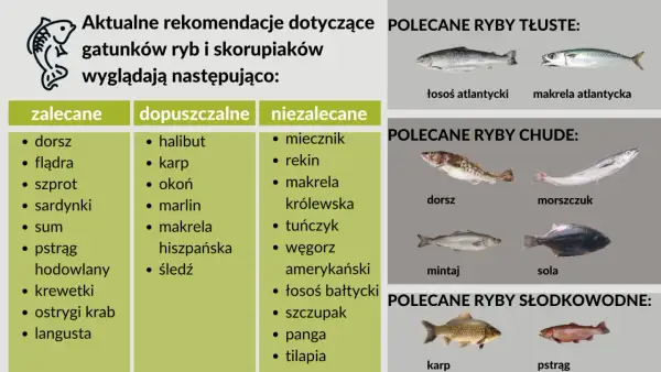 Jakie rybki dla dziecka wybrać? Bezpieczne opcje dla zdrowia i radości